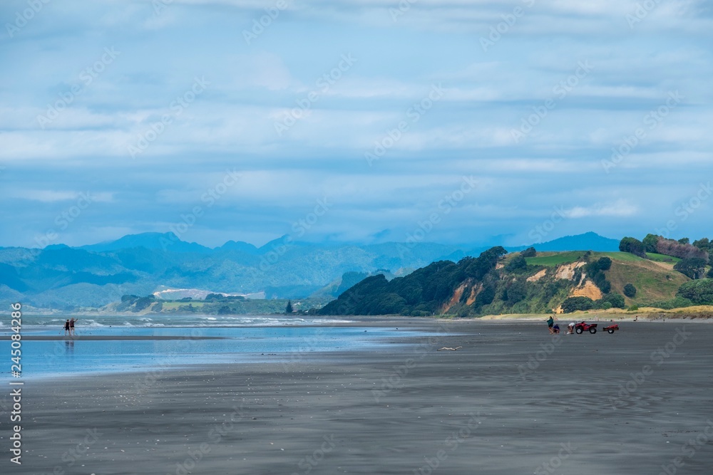 Fototapeta premium view along the coast at low tide