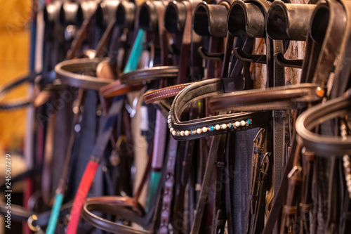 Foto Row of bridles in a tack room on a forse riding farm