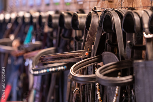 Row of bridles in a tack room on a horse riding farm photo
