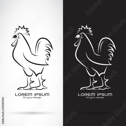 Vector of rooster or cock design on white background and black background., Animal farm. Easy editable layered vector illustration.