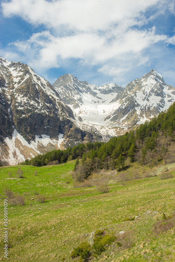 snow-capped mountain peaks against the background of a coniferous forest landscapes of Karachay-Cherkessia in Teberda snow-capped mountain peaks against the background of a coniferous forest landscapes of Karachay-Cherkessia in Teberda