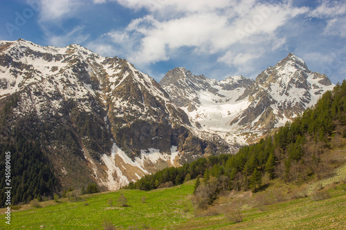 snow-capped mountain peaks against the background of a coniferous forest landscapes of Karachay-Cherkessia in Teberda