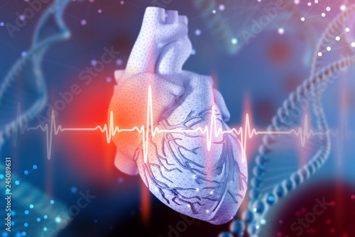 3d illustration of human heart and cardiogram on futuristic blue background. Digital technologies in medicine photo
