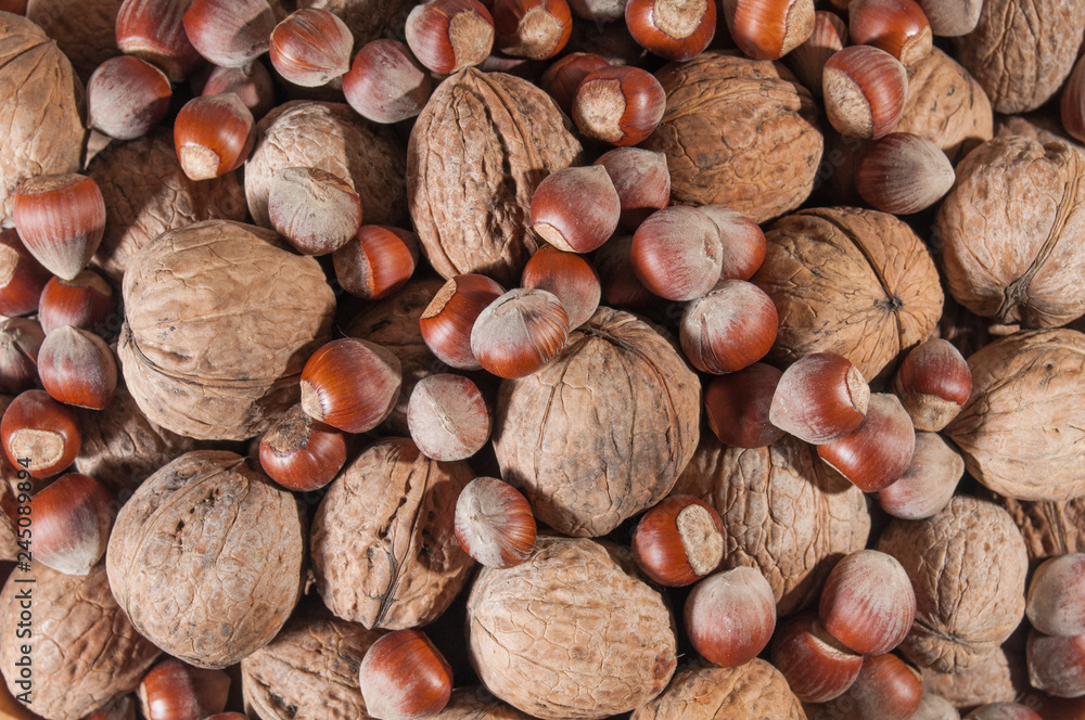 Assorted nuts hazelnuts and walnuts. Background of nuts. Healthy food and lifestyle. Assorted nuts hazelnuts and walnuts. Background of nuts. Healthy food and lifestyle.