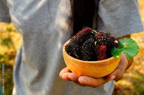 Close up of mulberries fruits in wooden bowl on hand