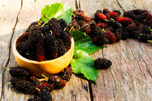 Fresh mulberries fruits organic in bowl on wood backgrounds