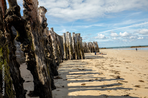 Big breakwater  3000 trunks to defend the city from the tides  Plage de l   ventail beach in Saint-Malo  Ille-et-Vilaine  Brittany 
