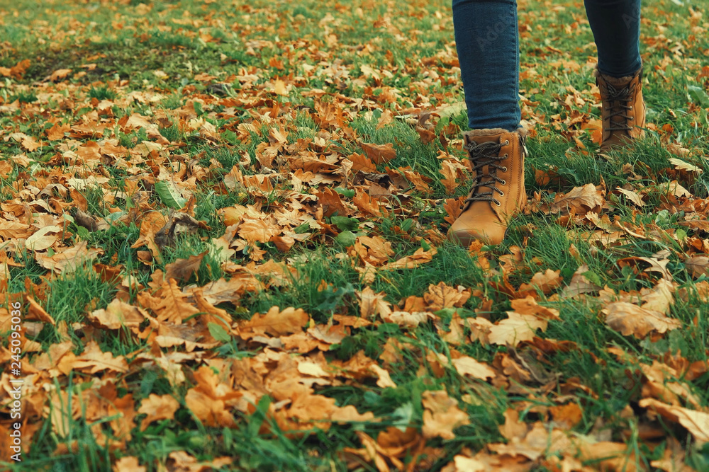 Human wearing brown leather boot and walking in fallen oak leaves. Human wearing brown leather boot and walking in fallen oak leaves.