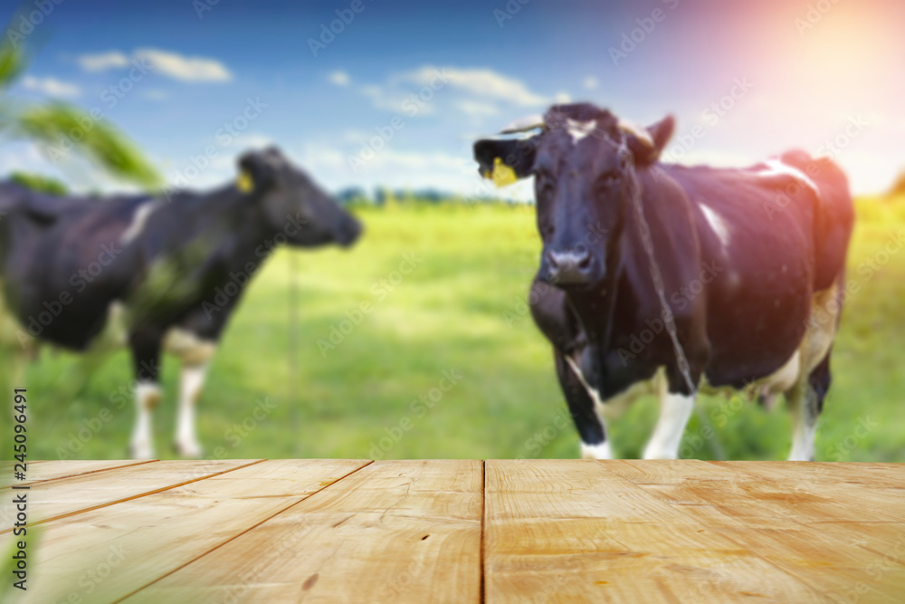 Table background with cows and spring landscape 