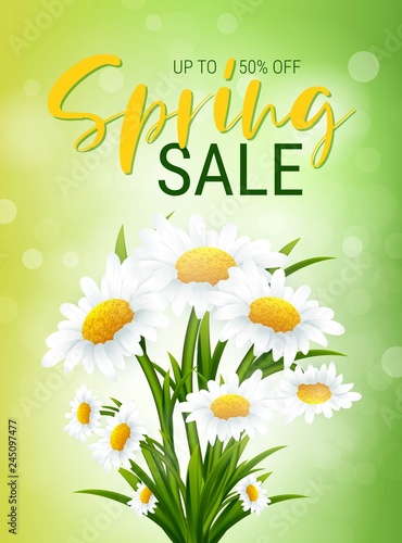 Spring sale banner with flowers.Vector banner with flowers chamomile ans dandelions. Clearance Banner, Poster, Flyer