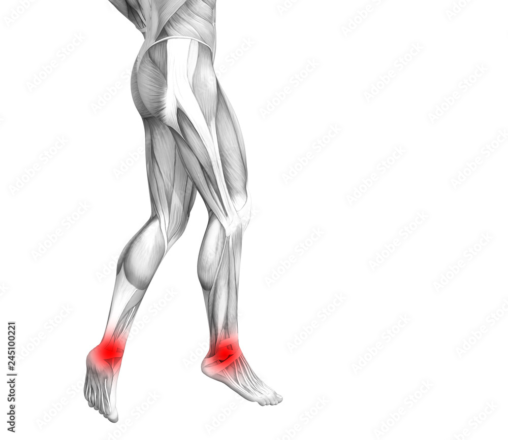 Conceptual ankle human anatomy with red hot spot inflammation or articular joint pain for leg health care therapy or sport muscle concepts. 3D illustration man arthritis or bone osteoporosis disease Conceptual ankle human anatomy with red hot spot inflammation or articular joint pain for leg health care therapy or sport muscle concepts. 3D illustration man arthritis or bone osteoporosis disease