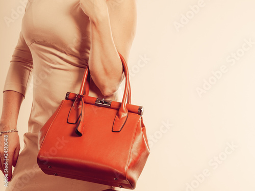 elegant woman holds brown handbag photo