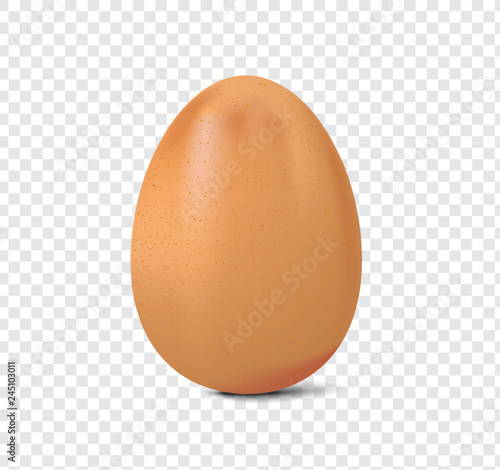 fresh chicken egg isolated on a transparent background, realistic vector illustration