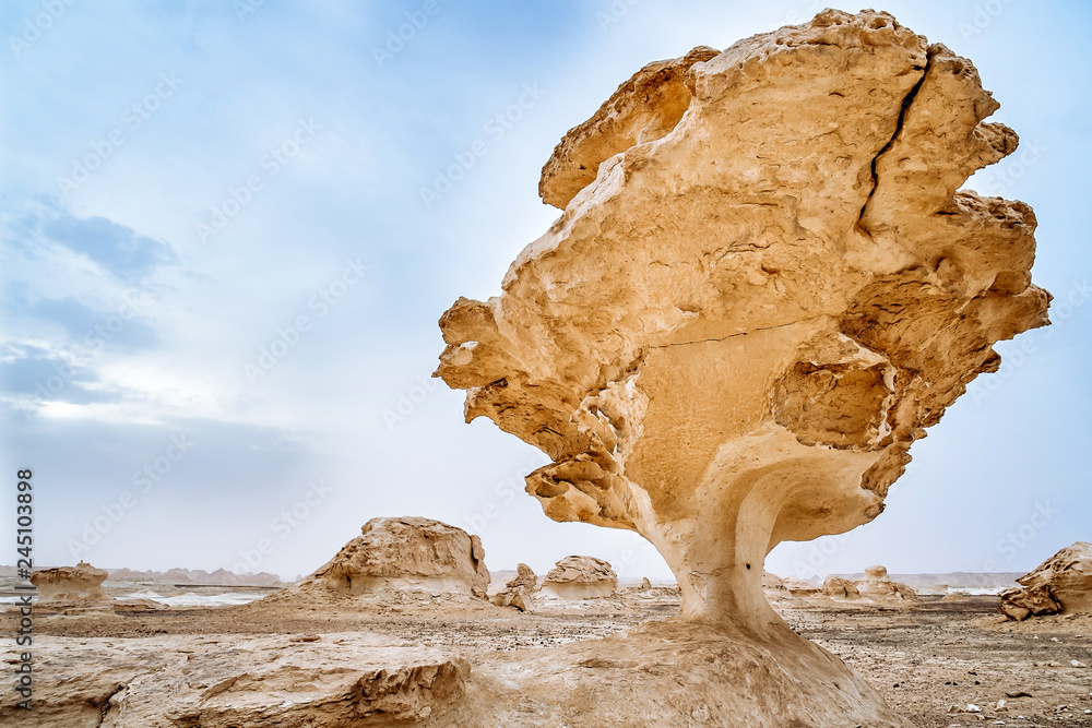Beautiful abstract nature rock formations aka sculptures Chicken and Mushroom at sunset in Western White desert, Sahara. Egypt