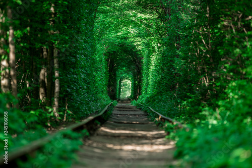 a railway in the spring forest tunnel of love