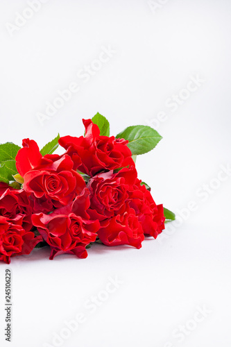 Bouquet of red rose on a white background. Free space for tksta. Gift or greeting card for the holiday. Concept for Valentine's Day, Women's Day and Mother's Day. Copy space.