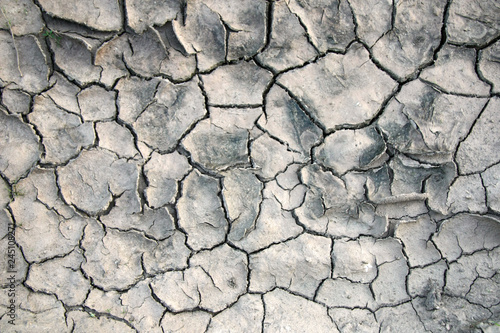 cracked earth texture