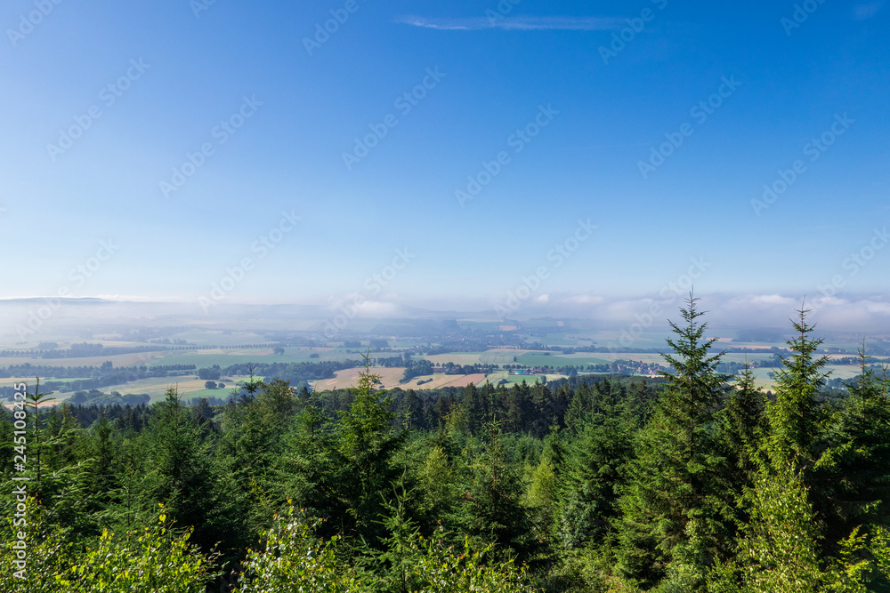The landscape of forest in Germany