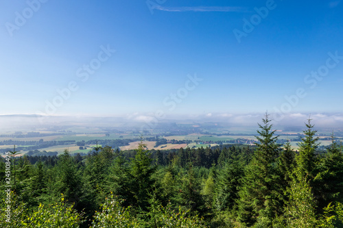 The landscape of forest in Germany
