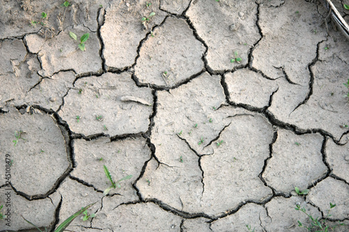 cracked earth texture