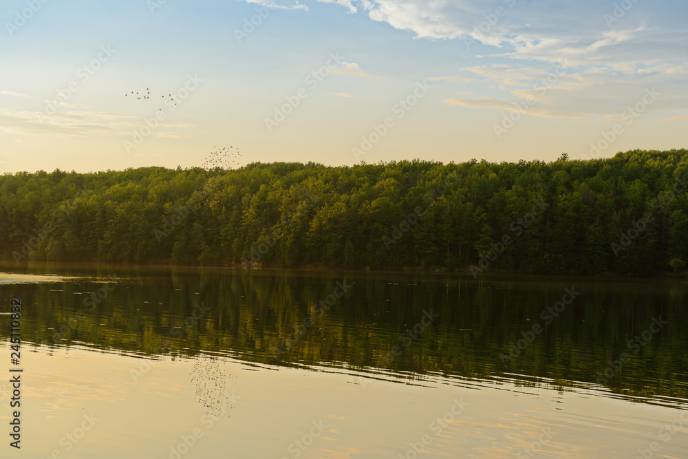 Obraz premium evening landscape with lake and forest on the shore