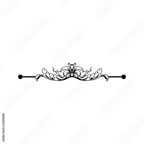 Fényképezés Flourish vector text divider