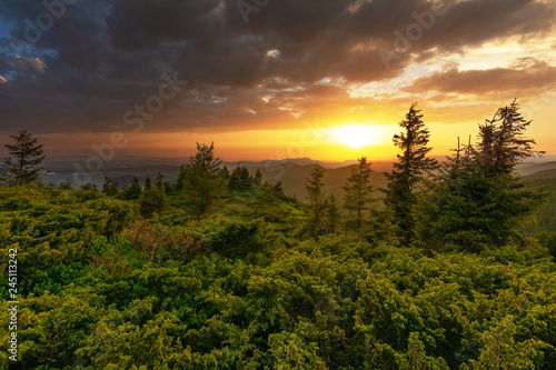 Warm sunset on the green and flowering valleys of the Ukrainian Carpathian Mountains.