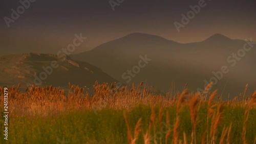 Amazing shot of wetlands grasses with mountains in background.  Flock of birds flies through.