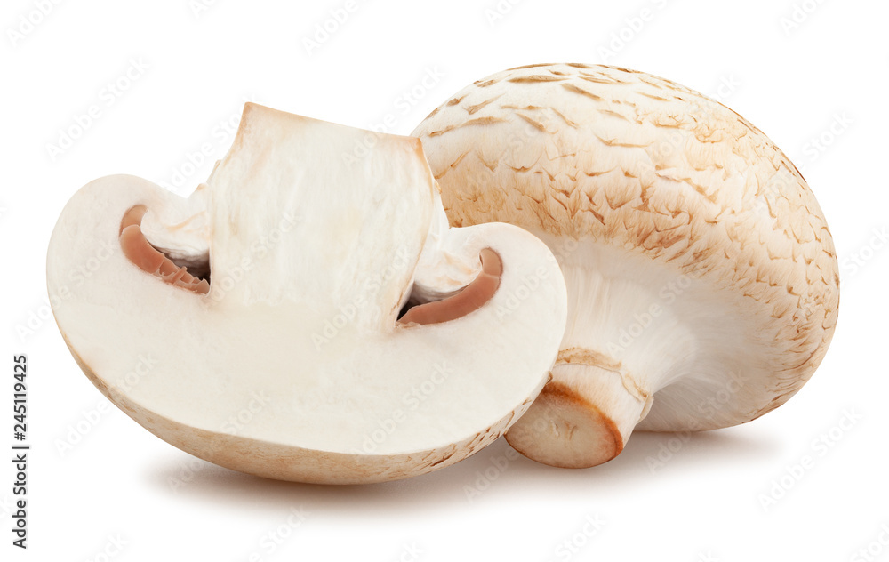 Fototapeta premium mushrooms
