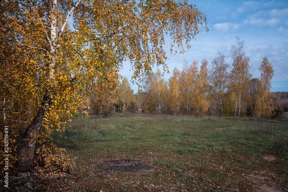 Obraz premium Indian summer.