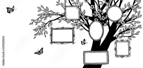 Hand drawn illustration of a family tree, banner with tree and empty picture frames