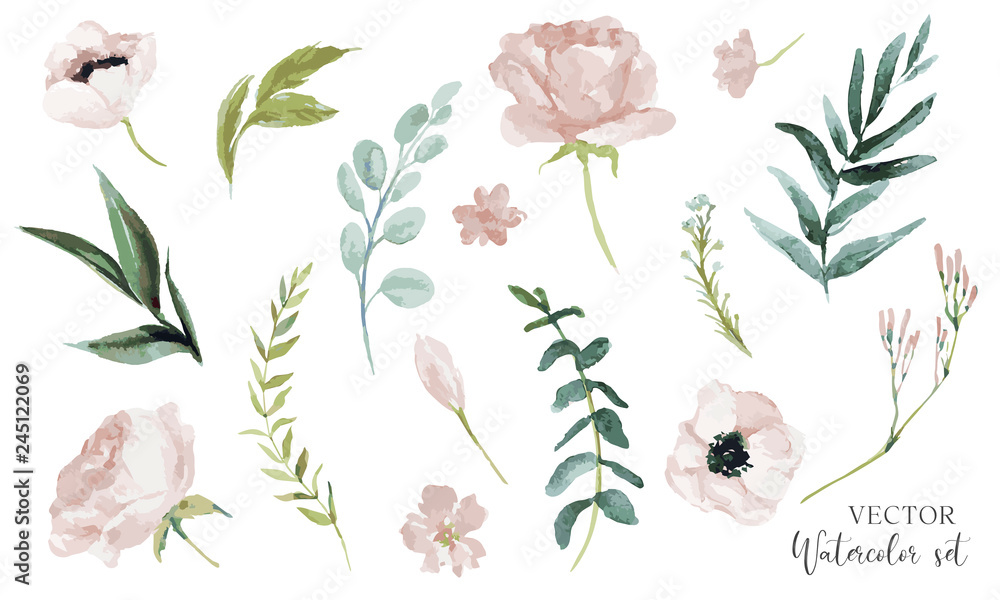 Vector watercolour floral illustration set. DIY flower elements collection - perfect for flower bouquets, wreaths, arrangements, wedding invitations, anniversary, birthday, greetings, cards, logo. - obrazy, fototapety, plakaty 