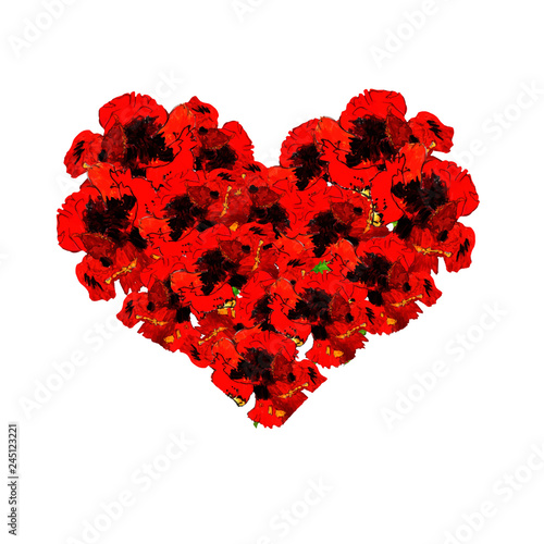  Poppy flower vector illustration with heart form.