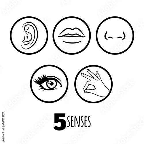 Five senses outline icons vector of set. Mouth and ear, human eye and nose illustration