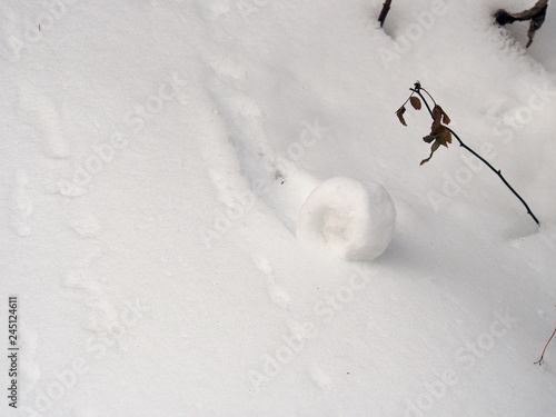 雪まくり現象【snow roller】 photo