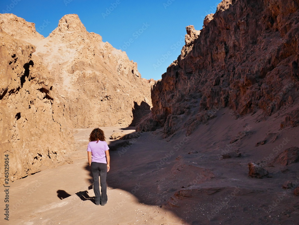 Rock formations in the desert of Atacama
