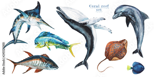 Watercolor set of hand-drawn marine illustrations - mahi-mahi fish, marlin, dolphin, whale, tuna, wahoo, stingray. Character, logo, children wallpaper, doodle. Marine clip art. Ocean, sea inhabitant.