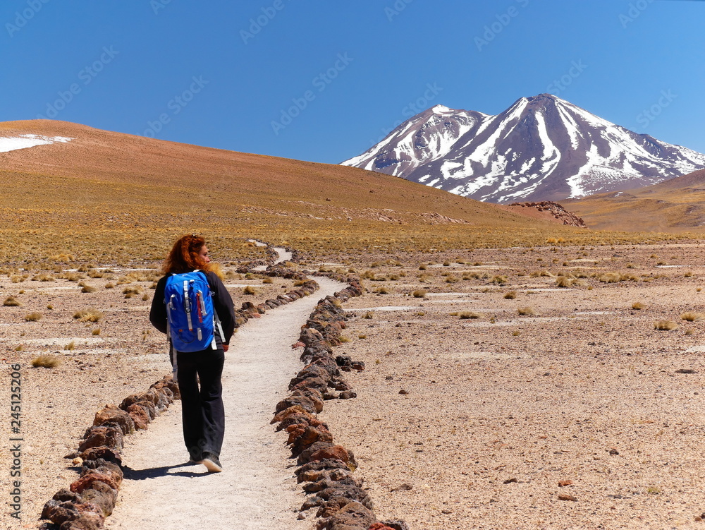 Lagunas altiplanica in the desert of Atacama, Chile.