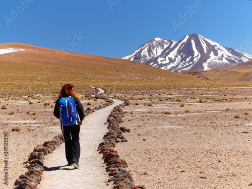Lagunas altiplanica in the desert of Atacama, Chile.
