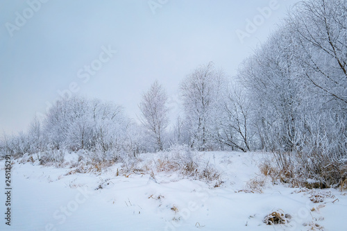 beautiful winter landscape 