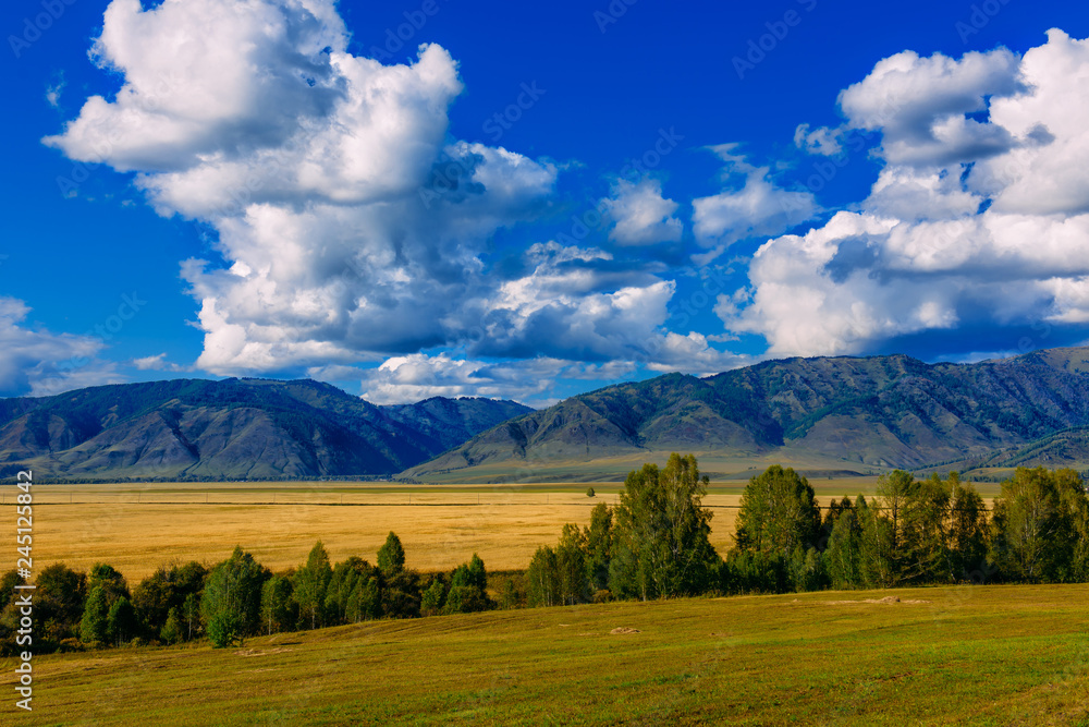 Mountain valley, golden autumn panorama landscape, Siberia, Altai Republic, Russia