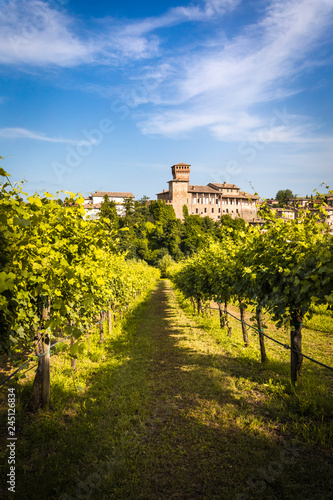 Levizzano Rangone with some wineyards on the foreground during springtiime. Castelvetro Rangone, Modena, Emilia Romagna, Italy