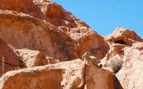 The lost city, Bolivia