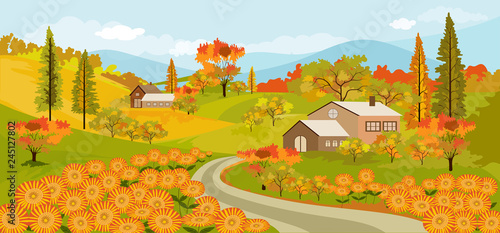 Panorama view of spring village with green meadow and sunflowers on hills with blue sky, Vector Summer or Autumnn landscape, Panoramic countryside landscape mountains and farmhouse with yellowe flower photo