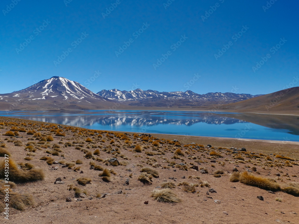 Lagunas altiplanica in the desert of Atacama, Chile.