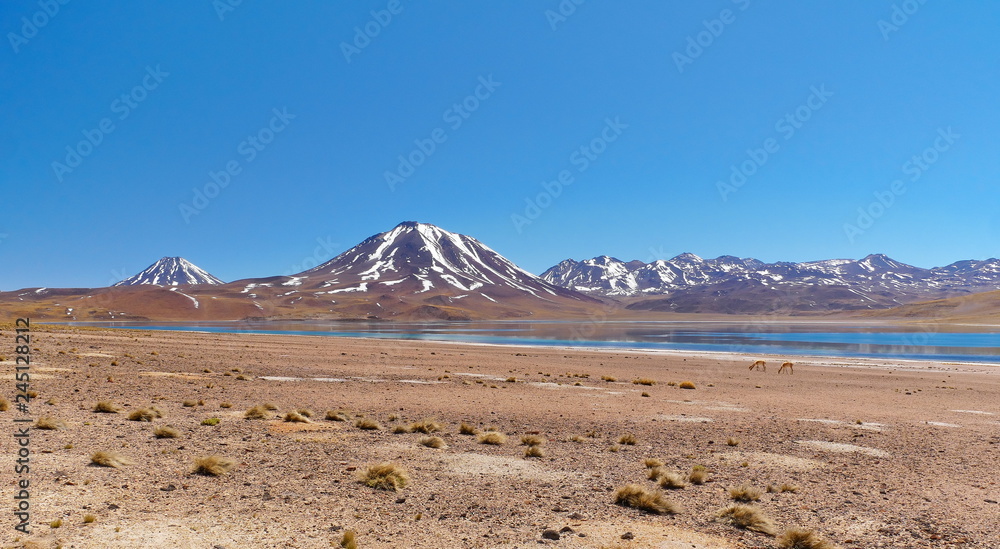 Lagunas altiplanica in the desert of Atacama, Chile.