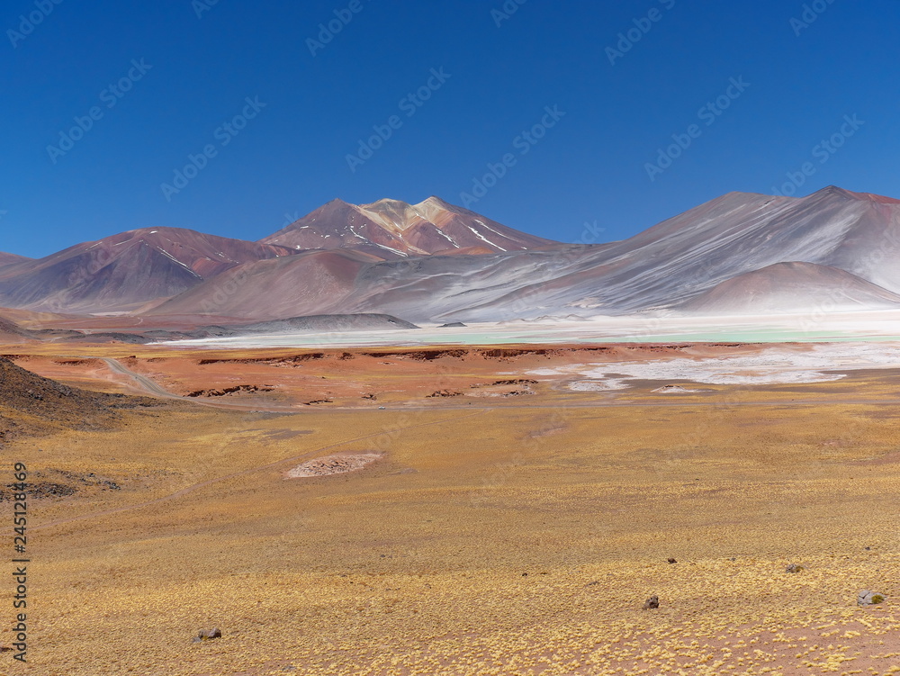 Lagunas altiplanica in the desert of Atacama, Chile.