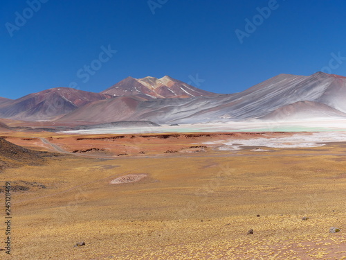 Lagunas altiplanica in the desert of Atacama, Chile. photo