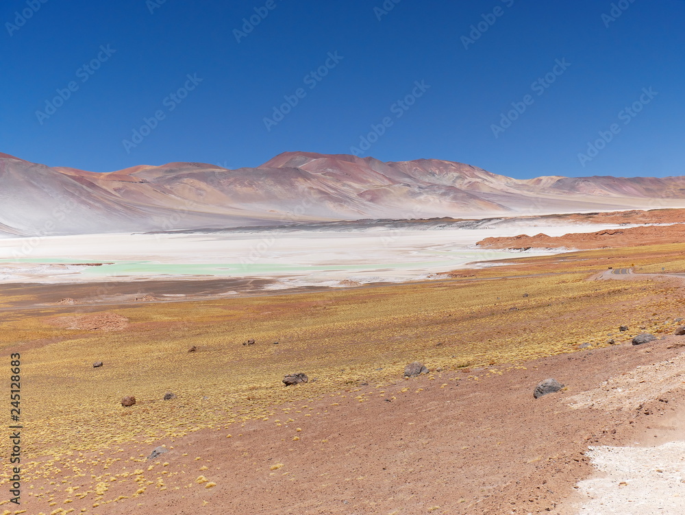 Lagunas altiplanica in the desert of Atacama, Chile.