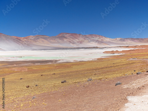 Obraz na płótnie Lagunas altiplanica in the desert of Atacama, Chile. w salonie